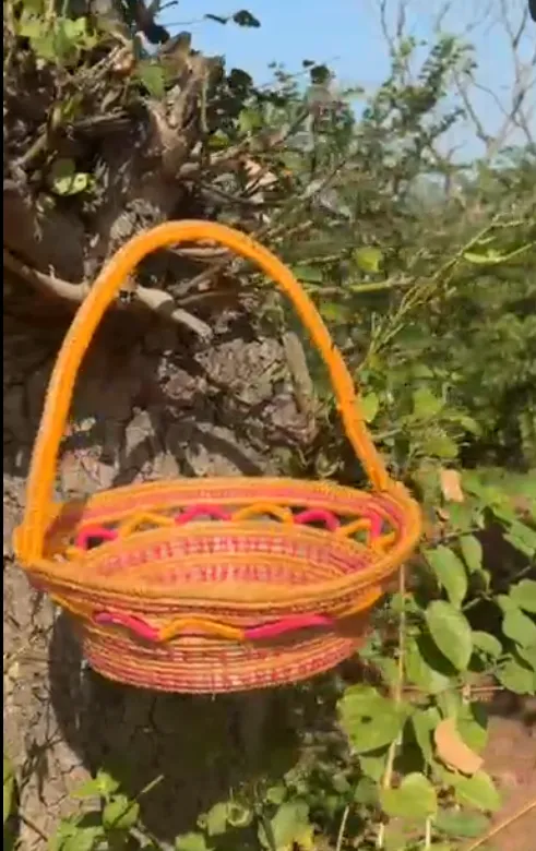 Artisanal Eco-Friendly Hand-Made Himalayan Pine Tree Gift Basket with Handle
